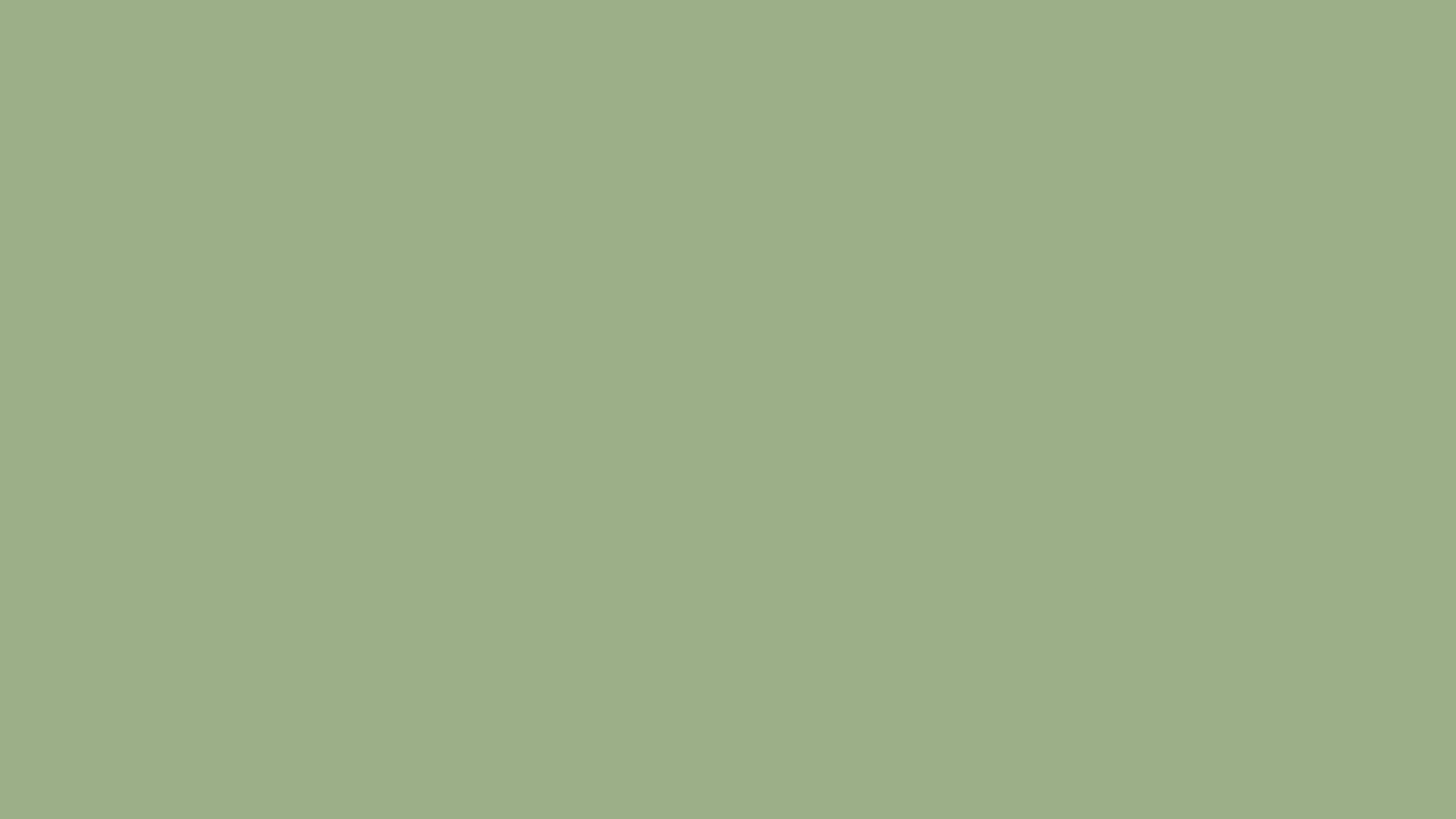 Sage green solid background